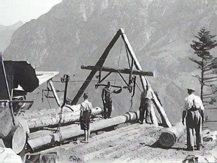 Строительство первой канатной дороги для транспортировки древесины на горе Риги в Швейцарии. 1928 год