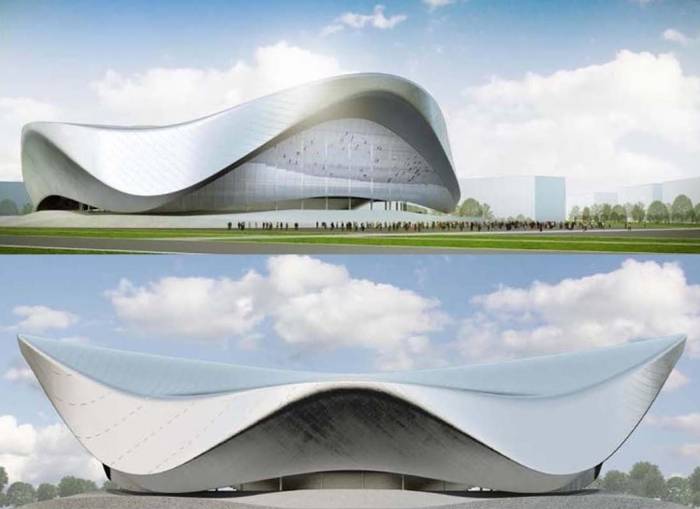 Определен проектировщик нового ледового дворца в Новосибирске